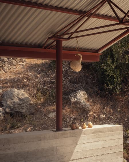 House in an Olive Grove